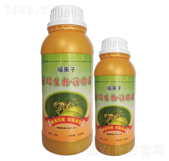 ��(sh��)ω�����T����-����(l��i)��-���~�ɷ�