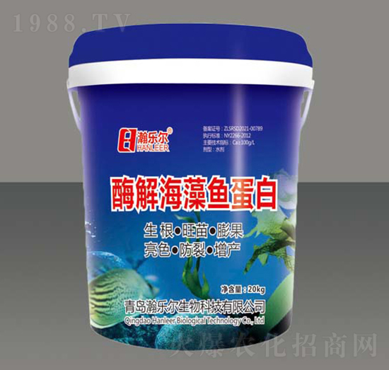 ø�⺣���~����-嫘�(l��)��