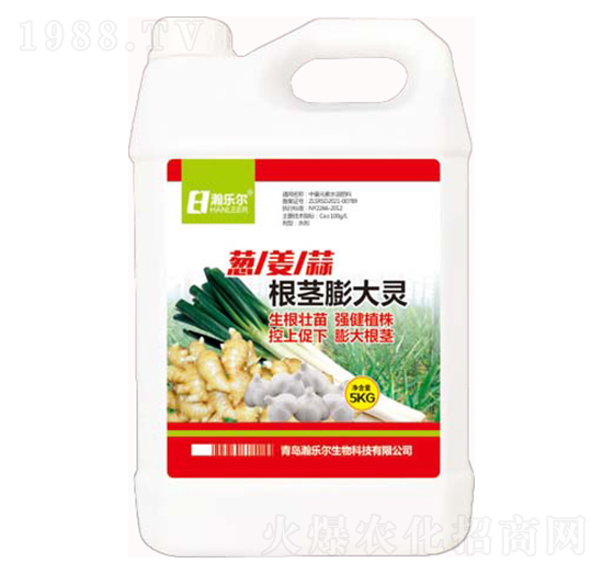 �[������o����`-嫘�(l��)��