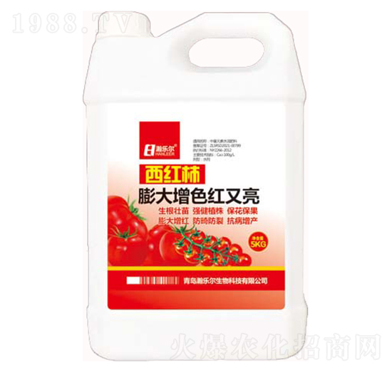 ���t�������ɫ�t����-嫘���