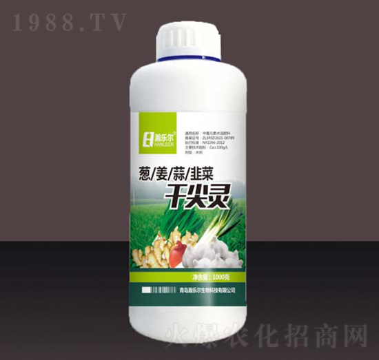 �[����²˸ɼ��`-嫘���