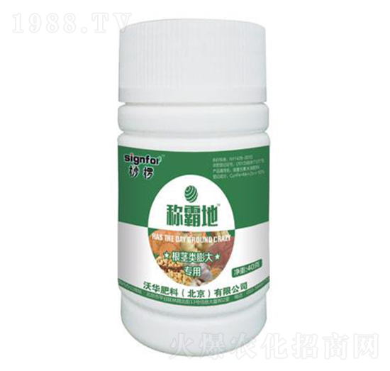 ���o������-�Q�Ե�-���A����