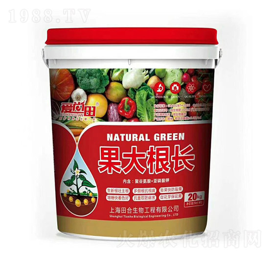 �����������L(zh��ng)-�������