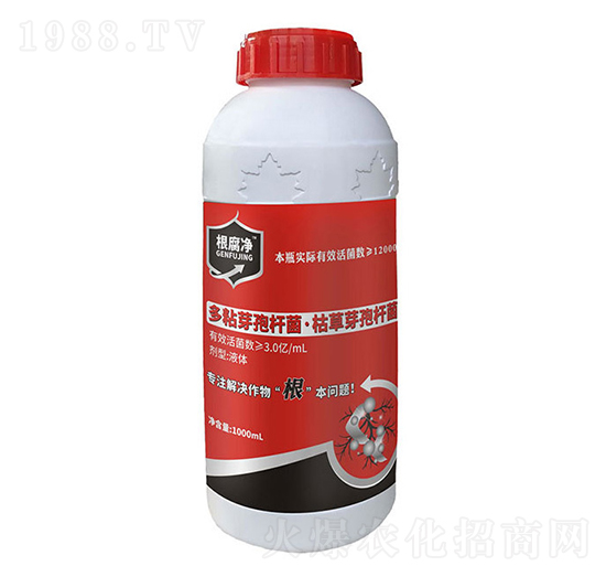 ������-�۟o��