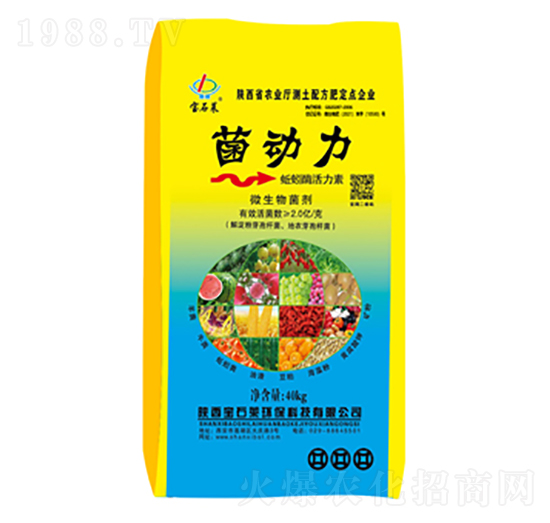 ���������ø������-��ʯ�R