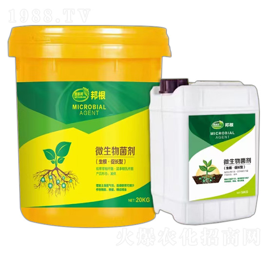 ���������L(zh��ng)��΢�������-���-�ݶ��