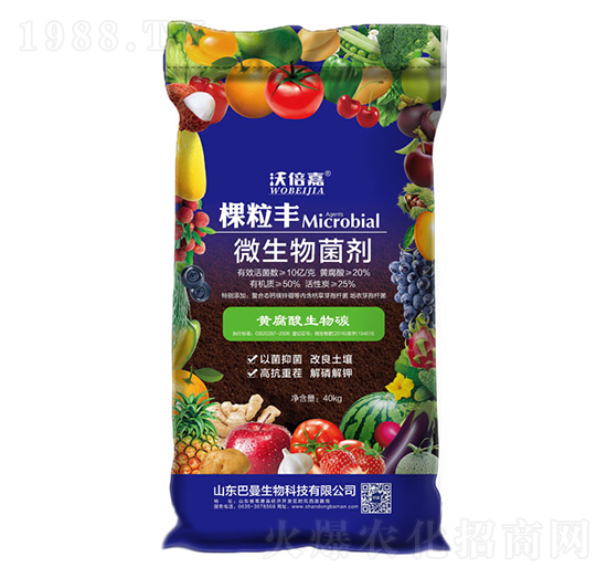 ΢�������-�w���S-��������