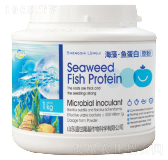 ���塤�~����ԭ��-ʢ��¡��