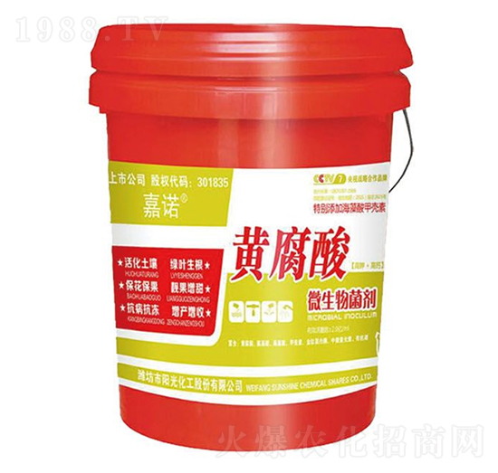 �S����΢�������-���Z-ꖹ⻯��