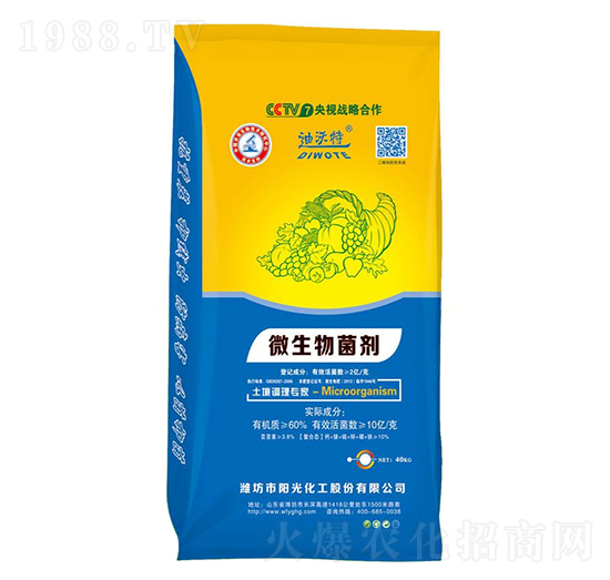 ΢���������10�|�����-������-ꖹ⻯��