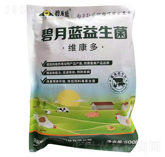 �����{������-�����{����