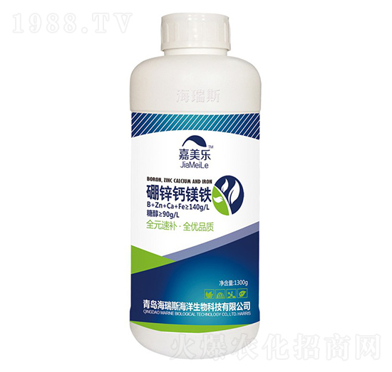 ���\�}�V�F-������(l��)-����˹