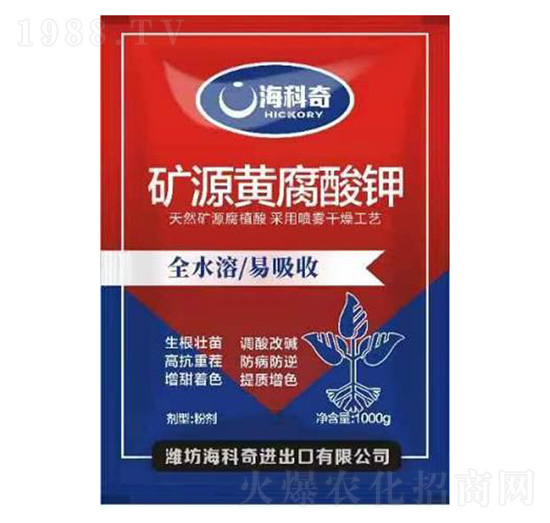 �VԴ�S�����-������