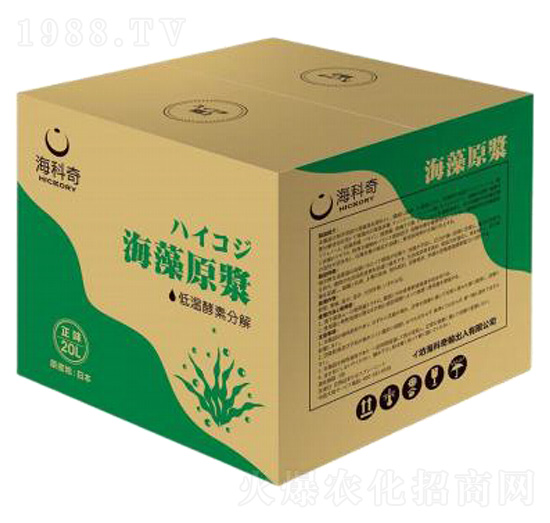 ����ԭ�{-������