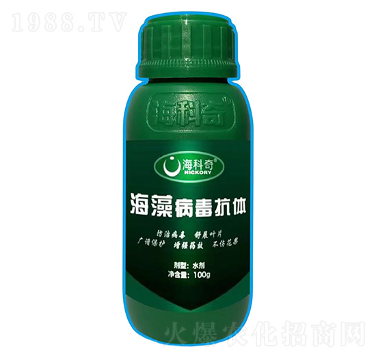 ���岡�����w-������