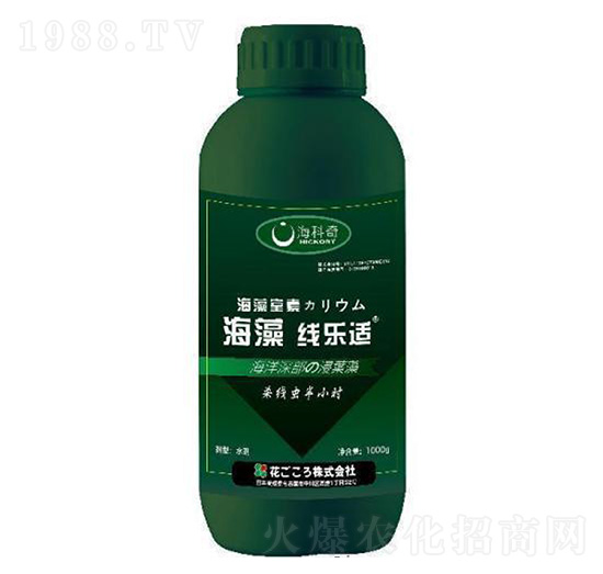 ���往���m-������