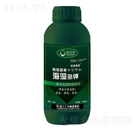 ���嵪�-������