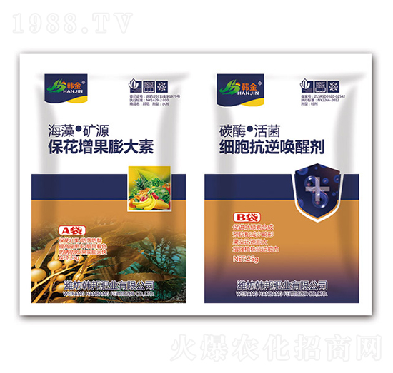 �������������-�������憾�ф�-�n��-�n��ʘI(y��)