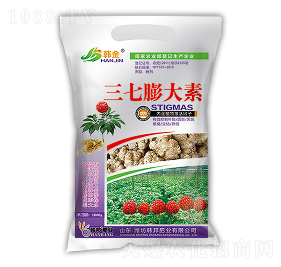 ���������-�n��-�n��ʘI(y��)