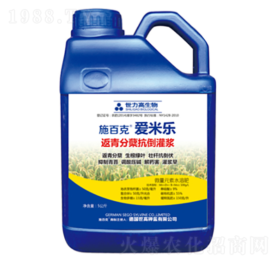 ������Y�������{-ʩ�ٿˡ����ט�-����������