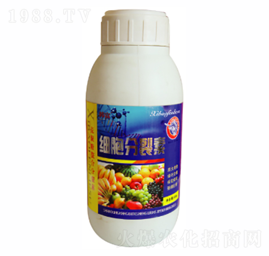 ����������-������