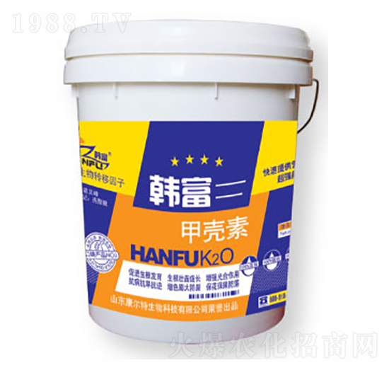 �n���ך���-������