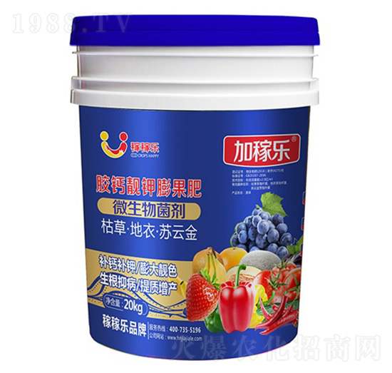 �z�}�n������-�Ӽژ�-�ڼژ�