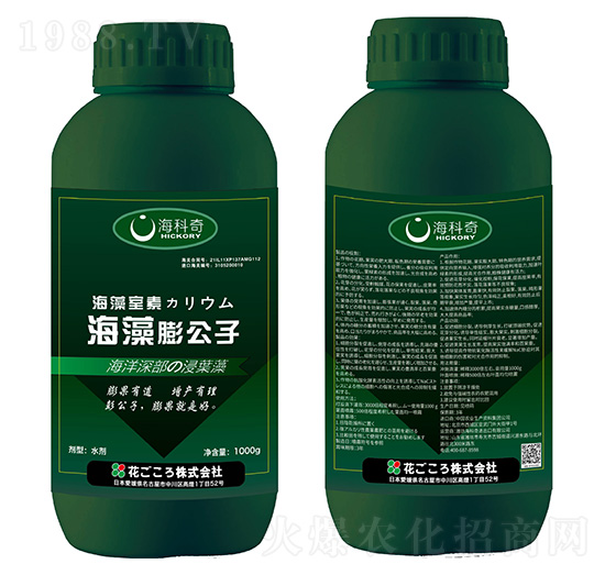 ��������-������