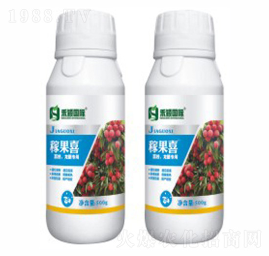 ��֦�����ی���-�ڹ�ϲ-�̷f����