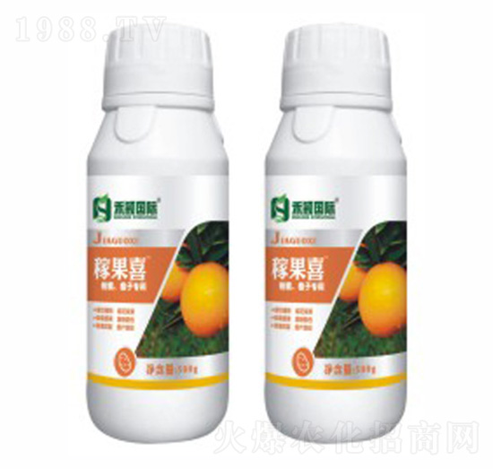 ������ɰ���١����ӌ���-�ڹ�ϲ-�̷f����