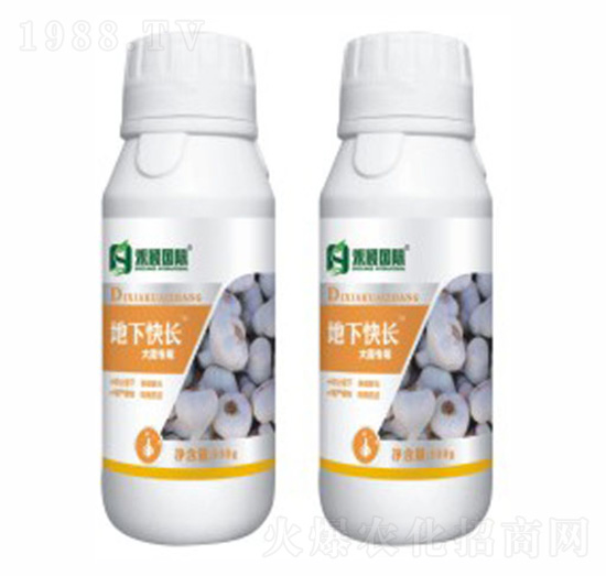 �����[���������~���-���¿��L(zh��ng)-�̷f����