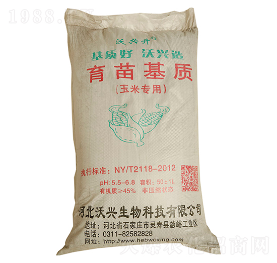 ���׌���������|-���d��-���d����