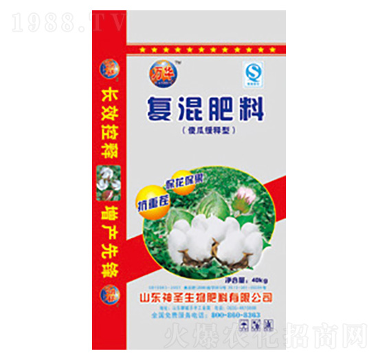 ����͏ͻ����-��ʥ����