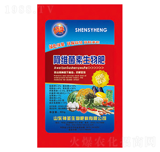 ���S���������-��ʥ����