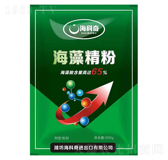 ���徫��-������