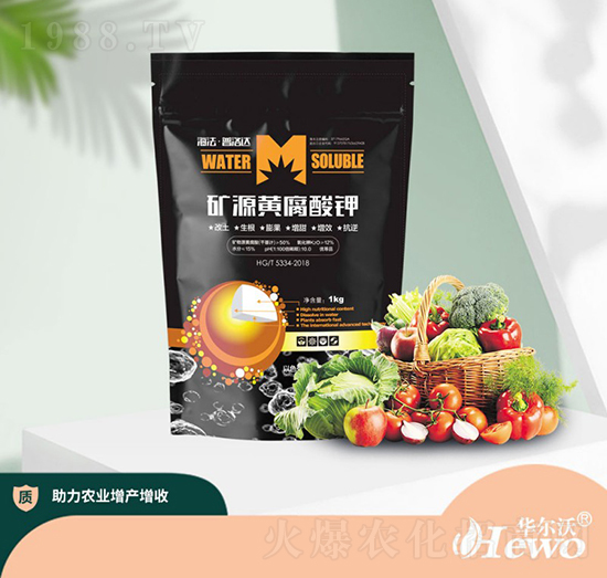 �VԴ�S�����-����-�A����