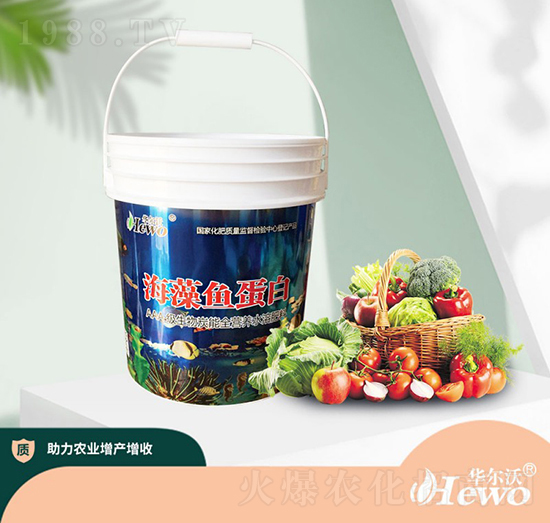 �����~����-��ķ��-�A����