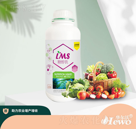 �Ǵ��F-����ِ-�A����