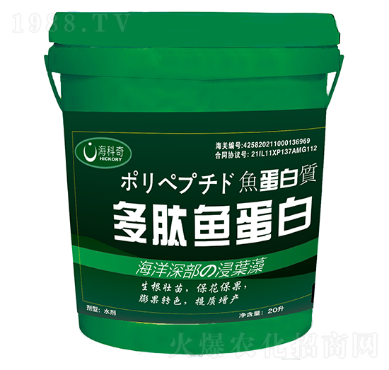 �����~����-������