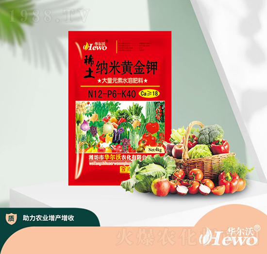 ϡ���{���S���-�A����