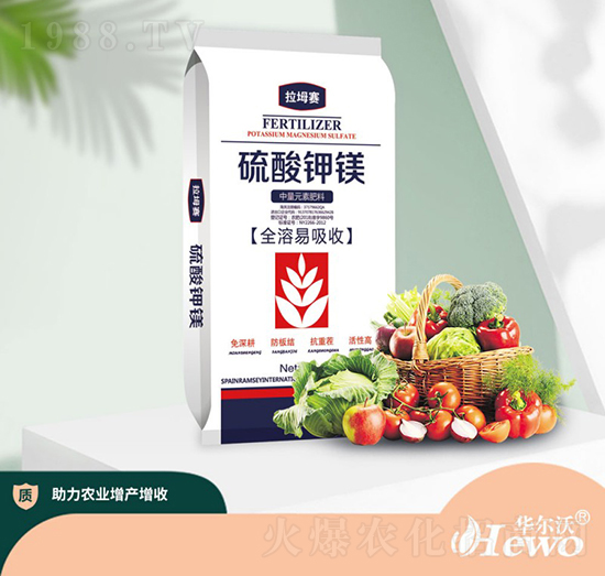 ������V-�A����