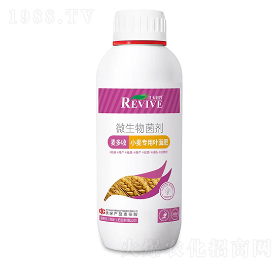 ΢�������-������-������