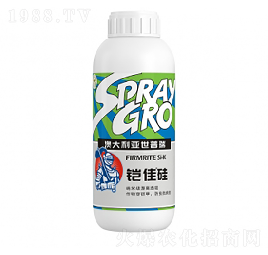 �z�ѹ�-�����ط�