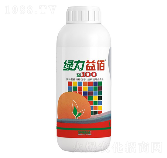 �G�����-�����ط�