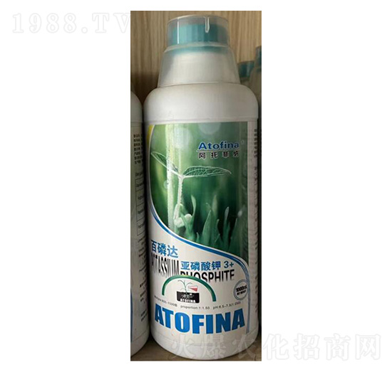 �������-�ѷ�Ԫ