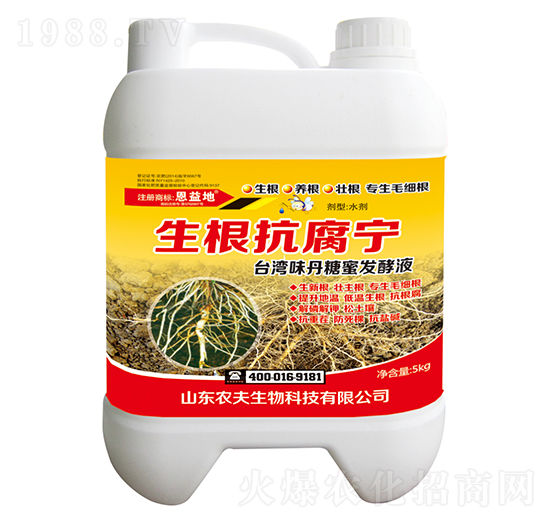 ����������-�����-�r������