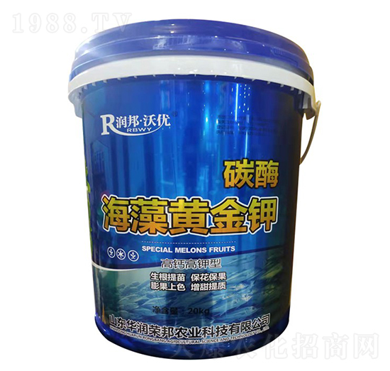 ���}�����̼ø�����S���-��(r��n)��փ�(y��u)-�A��(r��n)�s��