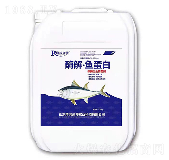 ø�⡤�~����-����փ�(y��u)-�A���s��