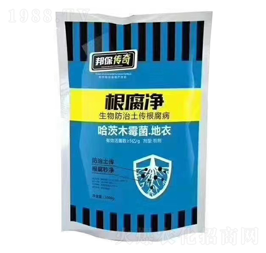 ������-�����-�K��ӡ��