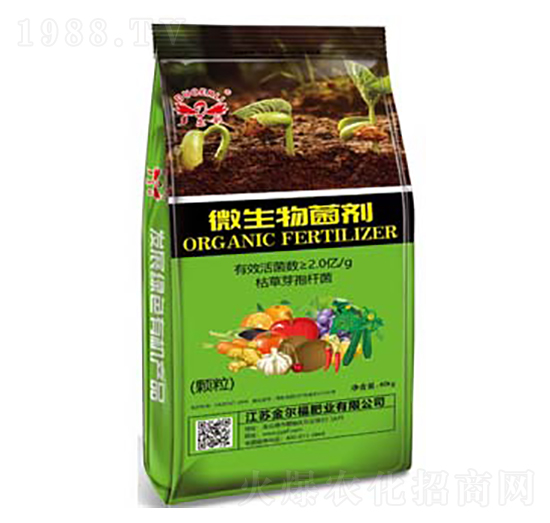 ΢����������w����-�𠖸��ʘI(y��)